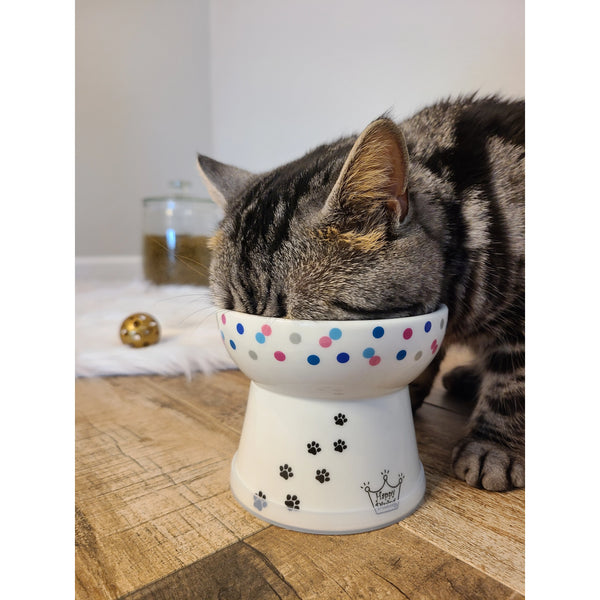 Necoichi Mini Raised Cat Food Bowl - Cat Dot