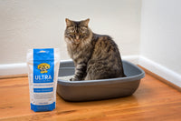 Dr. Elsey's Precious Cat Ultra Litter Attractant
